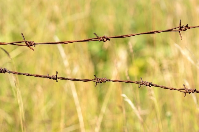 Barbed Wire