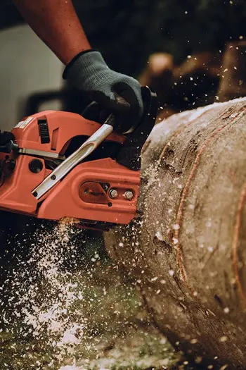 when were chainsaws invented