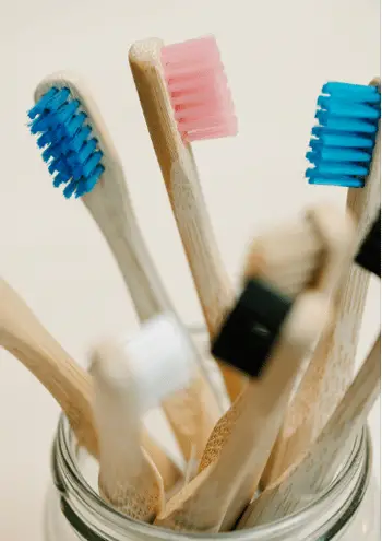 when was the toothbrush invented